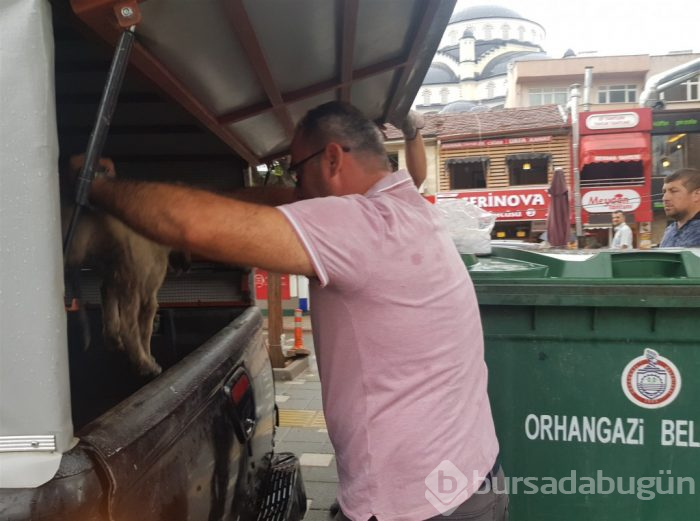 Bursa'nın kahraman itfaiyecisi! Yağmurda yarım saat uğraşıp kurtardı
