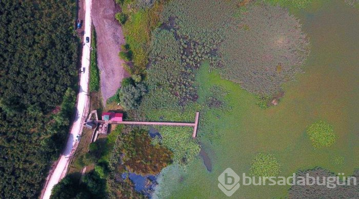 Abant Gölü'nden daha büyük olacak... Doğaseverleri büyülüyor