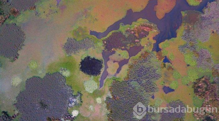 Abant Gölü'nden daha büyük olacak... Doğaseverleri büyülüyor