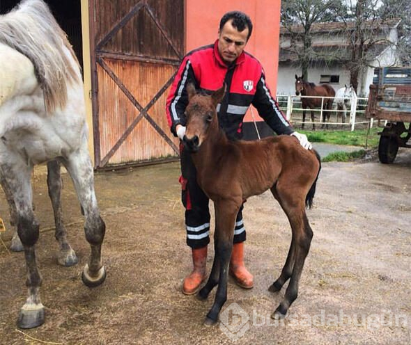 15 yarış atım var! Büyük yatırım yaptık
