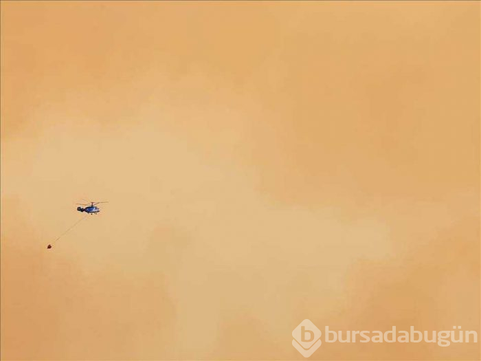 Bakın neresi... Bu fotoğraflar bu hafta çekildi
