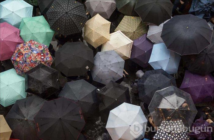 Bakın neresi... Bu fotoğraflar bu hafta çekildi
