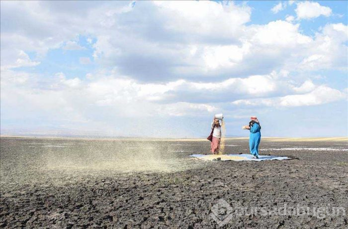 Bakın neresi... Bu fotoğraflar bu hafta çekildi
