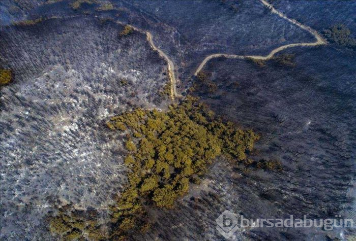 Bakın neresi... Bu fotoğraflar bu hafta çekildi
