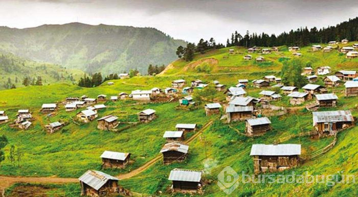 Huzurun tablosu Artvin
