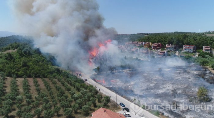 Bursa Mudanya'daki yanan ormanlık alanda yüzleri güldüren görüntü!
