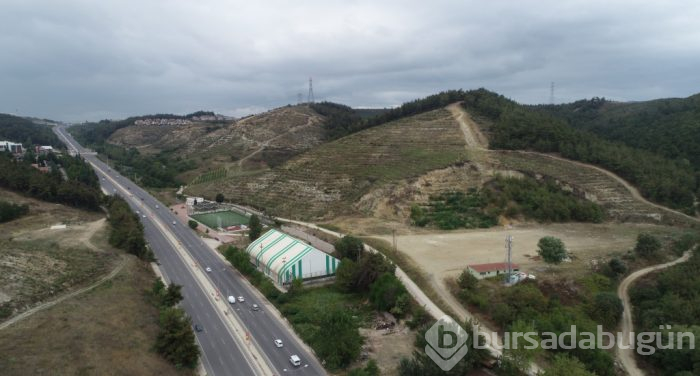 Bursa Mudanya'daki yanan ormanlık alanda yüzleri güldüren görüntü!
