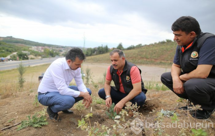 Bursa Mudanya'daki yanan ormanlık alanda yüzleri güldüren görüntü!

