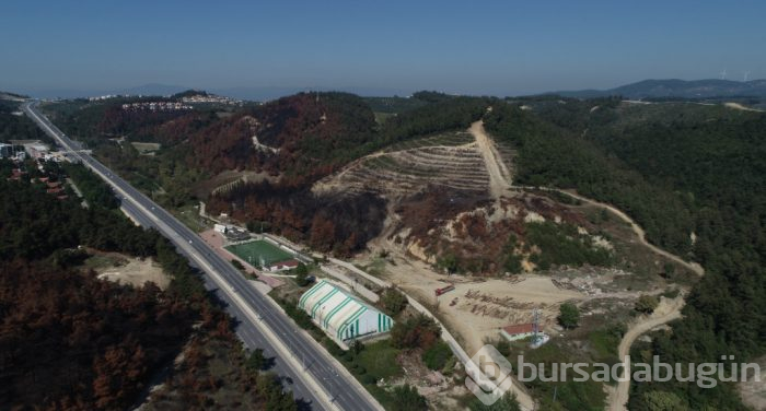 Bursa Mudanya'daki yanan ormanlık alanda yüzleri güldüren görüntü!
