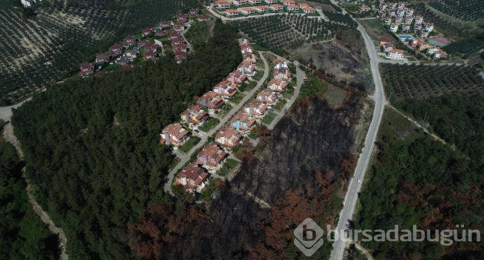 Bursa Mudanya'daki yanan ormanlık alanda yüzleri güldüren görüntü!
