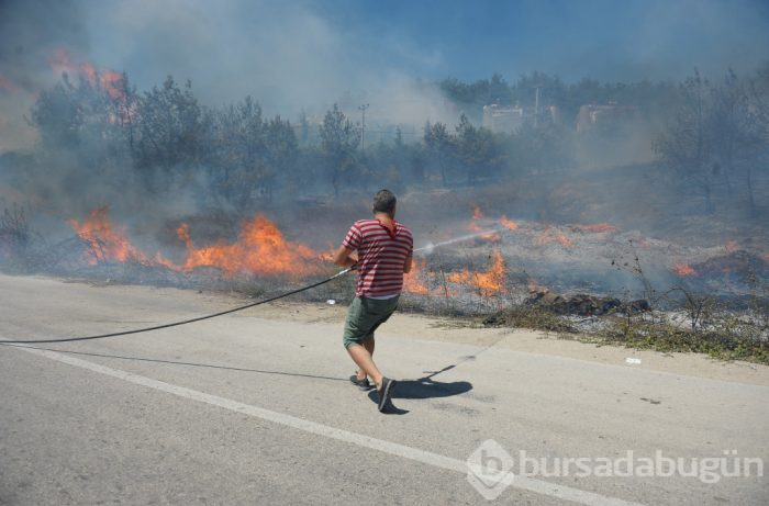 Bursa Mudanya'daki yanan ormanlık alanda yüzleri güldüren görüntü!

