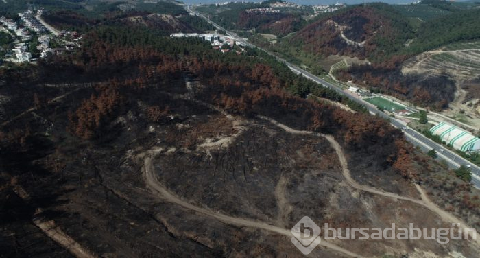 Bursa Mudanya'daki yanan ormanlık alanda yüzleri güldüren görüntü!
