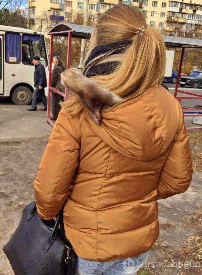 Günün en çok paylaşılan fotoğrafları (26.08.2019)