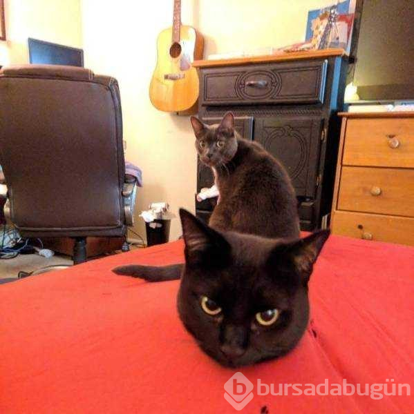 Günün en çok paylaşılan fotoğrafları (26.08.2019)