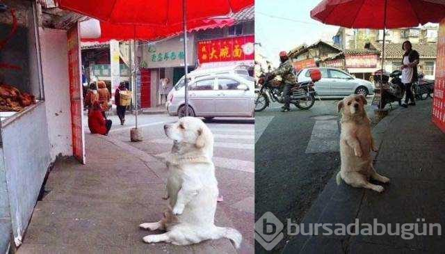 Günün en çok paylaşılan fotoğrafları (26.08.2019)