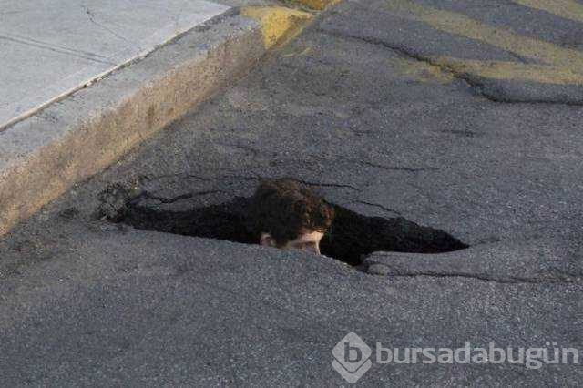 Günün en çok paylaşılan fotoğrafları (26.08.2019)