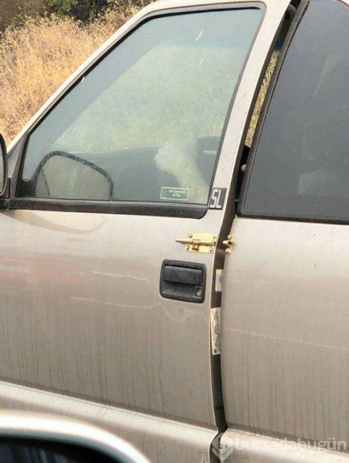 Günün en çok paylaşılan fotoğrafları (26.08.2019)