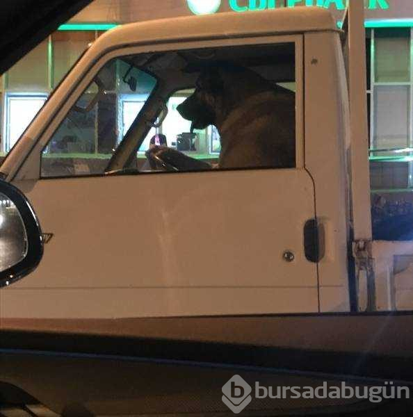Günün en çok paylaşılan fotoğrafları (26.08.2019)