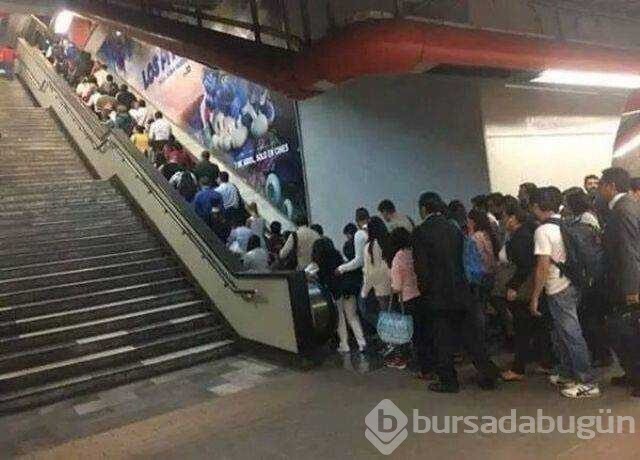 Günün en çok paylaşılan fotoğrafları (26.08.2019)