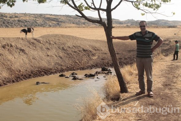 Burası Afrika değil, Ergani
