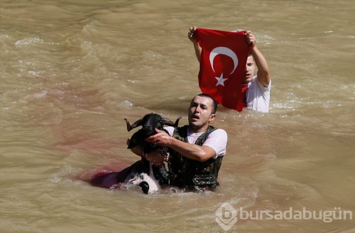 846. Sudan Koyun Geçirme Yarışması!