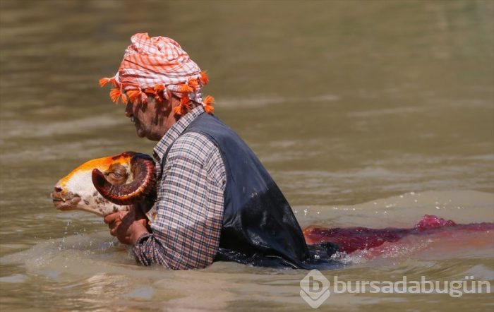 846. Sudan Koyun Geçirme Yarışması!