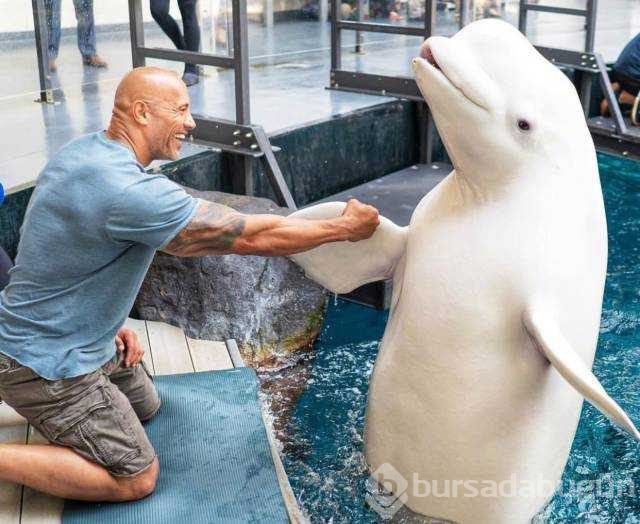 Günün en çok paylaşılan fotoğrafları (27.08.2019)