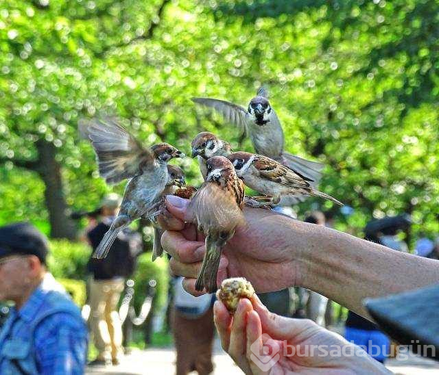 Günün en çok paylaşılan fotoğrafları (27.08.2019)