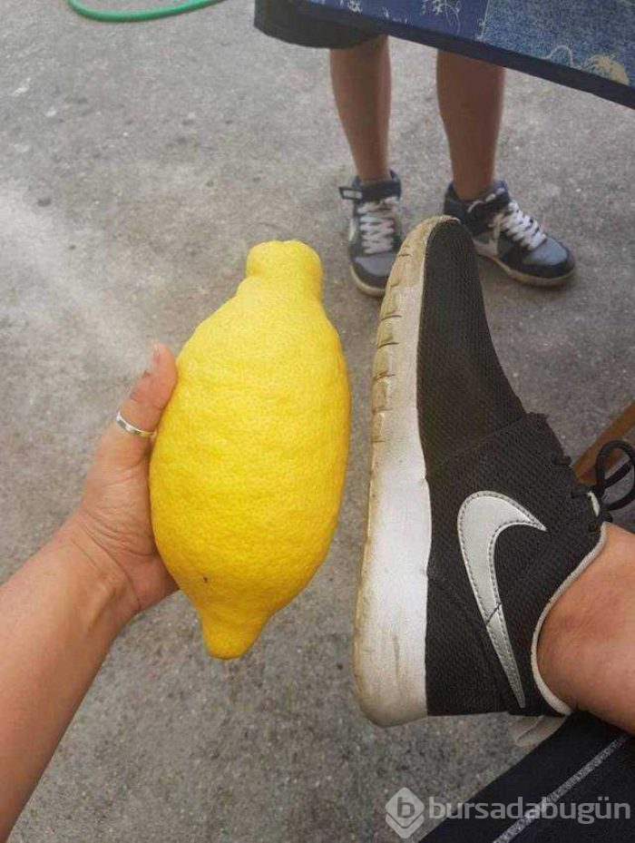 Günün en çok paylaşılan fotoğrafları (27.08.2019)