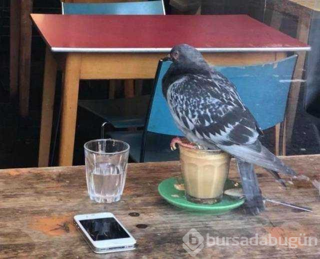 Günün en çok paylaşılan fotoğrafları (27.08.2019)