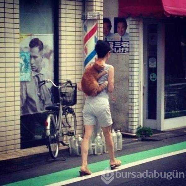 Günün en çok paylaşılan fotoğrafları (27.08.2019)
