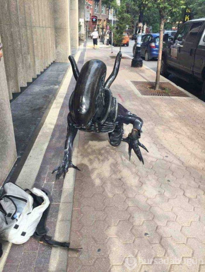 Günün en çok paylaşılan fotoğrafları (27.08.2019)