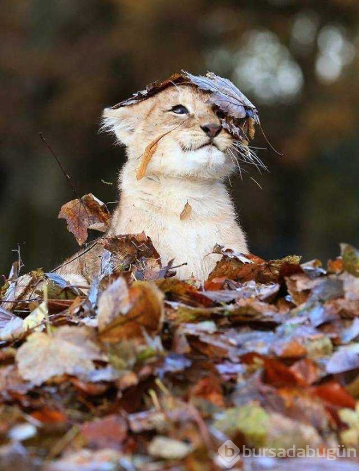 Günün en çok paylaşılan fotoğrafları (27.08.2019)