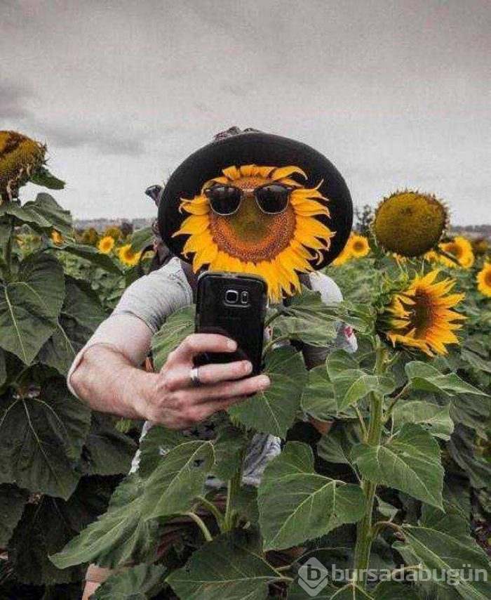 Günün en çok paylaşılan fotoğrafları (27.08.2019)