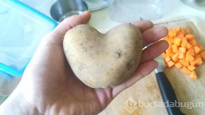 Günün en çok paylaşılan fotoğrafları (28.08.2019)