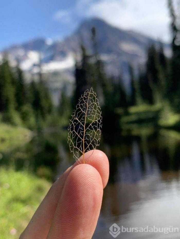 Günün en çok paylaşılan fotoğrafları (28.08.2019)