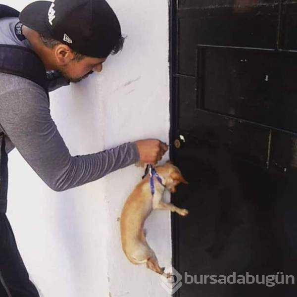 Günün en çok paylaşılan fotoğrafları (28.08.2019)