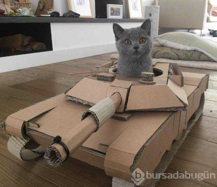 Günün en çok paylaşılan fotoğrafları (28.08.2019)