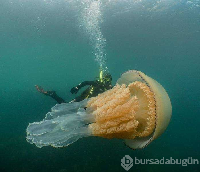 Günün en çok paylaşılan fotoğrafları (28.08.2019)