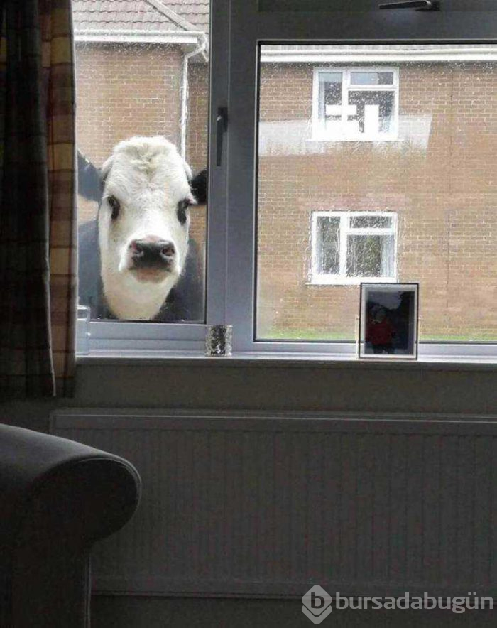 Günün en çok paylaşılan fotoğrafları (28.08.2019)