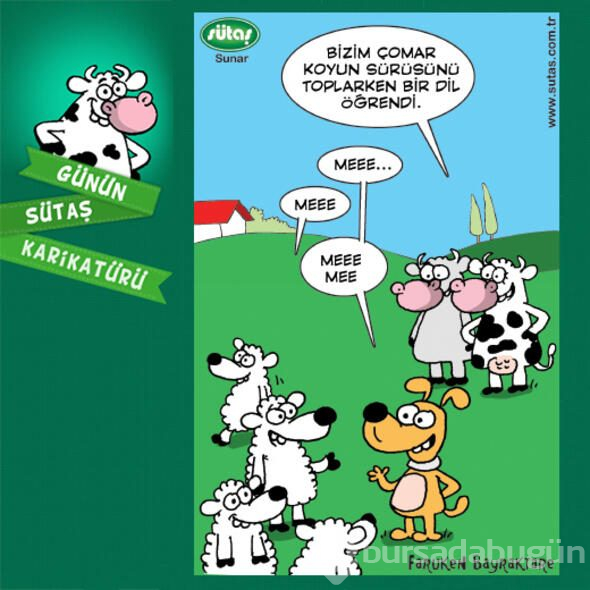 Günün Sütaş karikatürü!