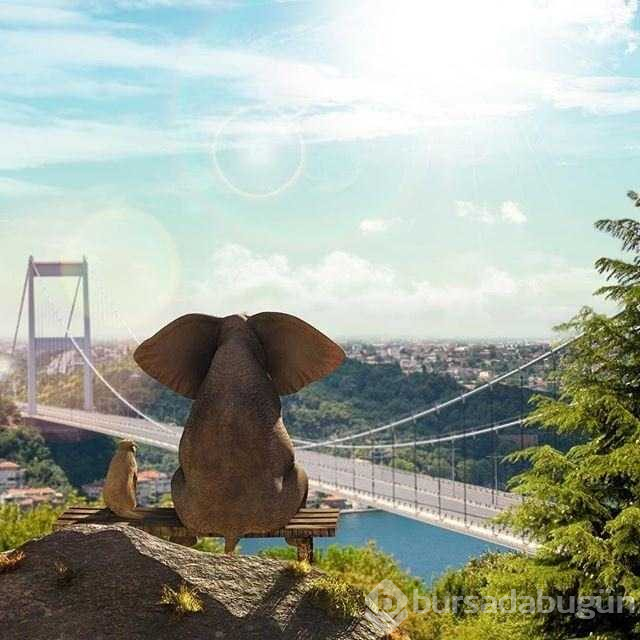 İstanbul'u hiç böyle görmediniz
