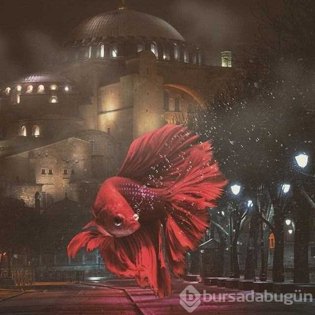 İstanbul'u hiç böyle görmediniz

