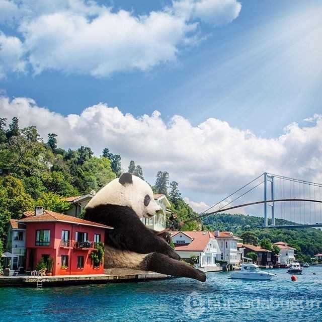 İstanbul'u hiç böyle görmediniz

