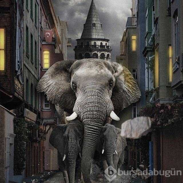 İstanbul'u hiç böyle görmediniz
