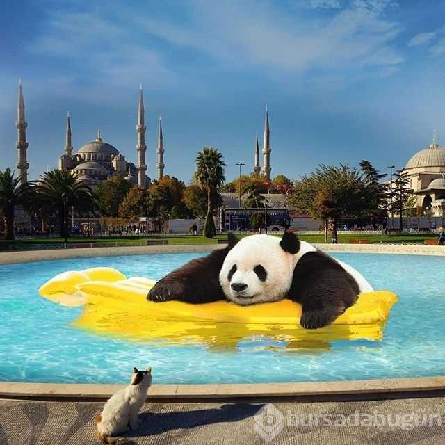 İstanbul'u hiç böyle görmediniz
