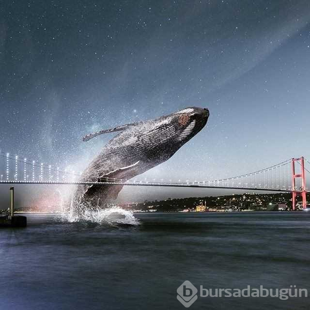 İstanbul'u hiç böyle görmediniz

