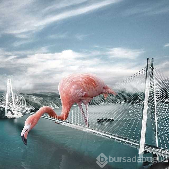 İstanbul'u hiç böyle görmediniz
