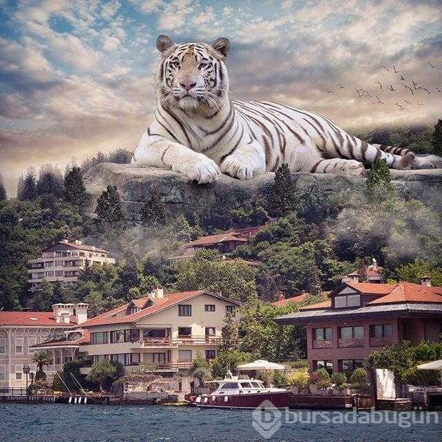 İstanbul'u hiç böyle görmediniz
