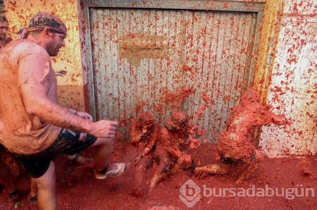 İspanya'da domates savaşı 'La Tomatina' başladı